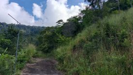 Land for sale in Ang Thong, Surat Thani