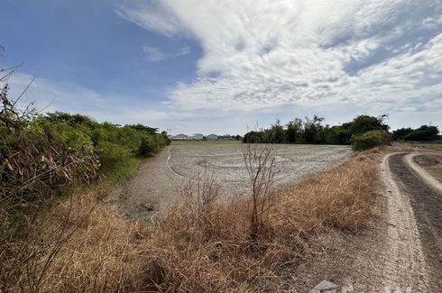 Land for sale in Naraphirom, Nakhon Pathom