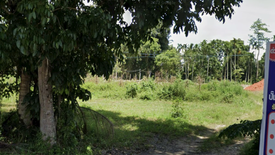 Land for sale in Ban Na, Surat Thani