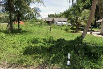 Land for sale in Ban Na, Surat Thani