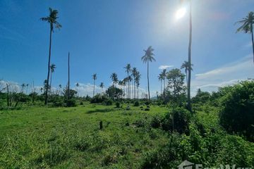 Land for sale in Thung Sai, Nakhon Si Thammarat