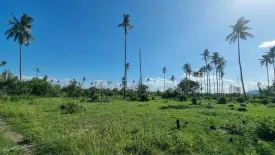 Land for sale in Thung Sai, Nakhon Si Thammarat