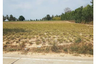 Land for sale in Bang Lamung, Chonburi