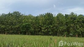 Land for sale in Thap Tai, Prachuap Khiri Khan