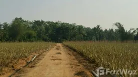 Land for sale in Thap Tai, Prachuap Khiri Khan