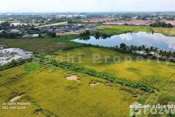 Land for sale in Mueang Nga, Lamphun