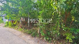 Land for sale in Nong Prue, Chonburi