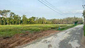 Land for sale in Pa Khlok, Phuket