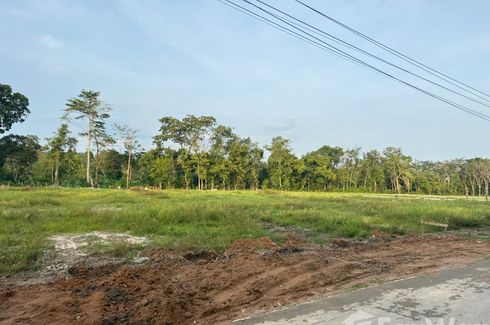 Land for sale in Pa Khlok, Phuket