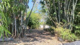 Land for sale in Ban Waen, Chiang Mai