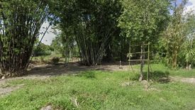 Land for sale in Ban Waen, Chiang Mai