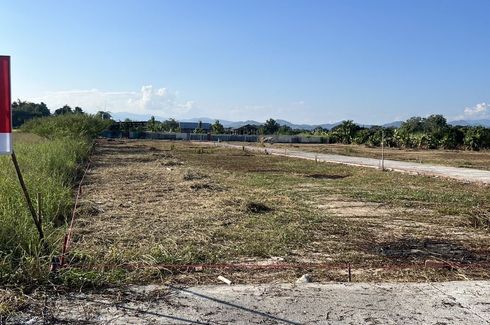 Land for sale in San Klang, Chiang Mai