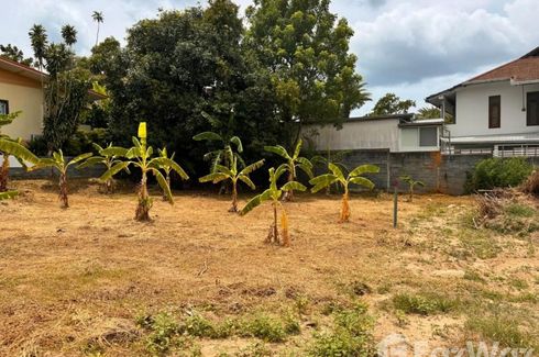 Land for sale in Bo Phut, Surat Thani