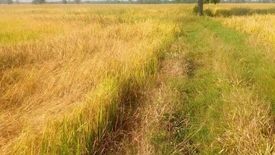 Land for sale in Phon Thong, Lopburi