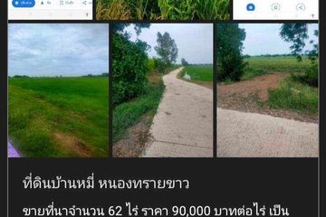 Land for sale in Phon Thong, Lopburi