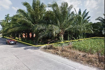 Land for sale in Khok Kloi, Phang Nga