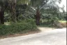 Land for sale in Khok Kloi, Phang Nga