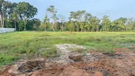 Land for sale in Pa Khlok, Phuket