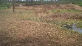 Land for sale in Thep Krasatti, Phuket