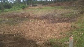 Land for sale in Thep Krasatti, Phuket