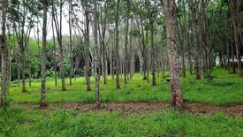 Land for sale in Ko Kaeo, Phuket