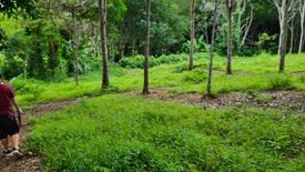 Land for sale in Ko Kaeo, Phuket