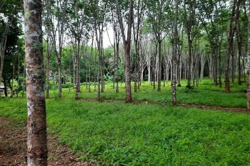 Land for sale in Ko Kaeo, Phuket