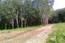 Land for sale in Pa Khlok, Phuket