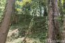 Land for sale in Sakhu, Phuket