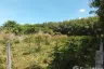Land for sale in Thep Krasatti, Phuket
