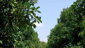 1 Bedroom Land for sale in Makham, Chanthaburi