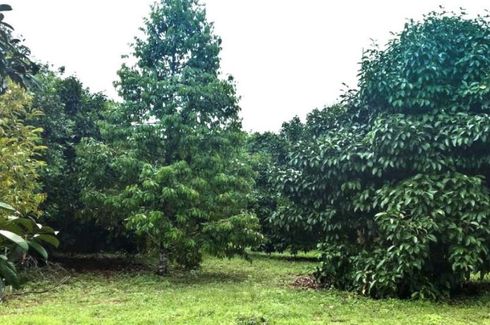 1 Bedroom Land for sale in Makham, Chanthaburi