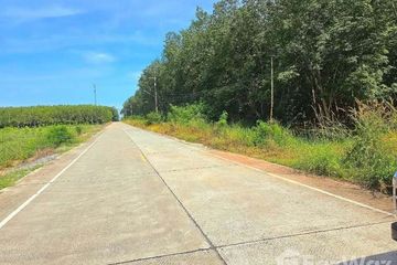 Land for sale in Nong Lalok, Rayong