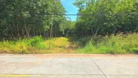 Land for sale in Nong Lalok, Rayong