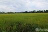 Land for sale in Nong Ya Plong, Uthai Thani