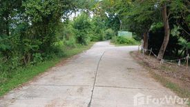 Land for sale in Nong Ya Plong, Uthai Thani