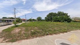 Land for sale in Nong Prue, Chonburi