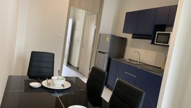 1 Bedroom Condo for rent in Noble Ploenchit, Langsuan, Bangkok near BTS Ploen Chit