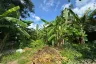 Land for sale in Choeng Thale, Phuket