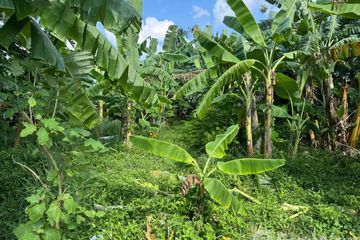 Land for sale in Choeng Thale, Phuket