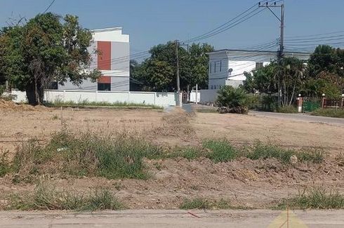 Land for sale in Nong Prue, Chonburi