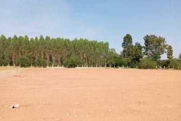 Land for sale in Daeng Yai, Khon Kaen