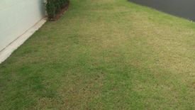 3 Bedroom Townhouse for rent in Supalai Primo Chalong Phuket, Chalong, Phuket