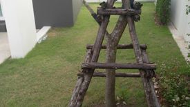 3 Bedroom Townhouse for rent in Supalai Primo Chalong Phuket, Chalong, Phuket