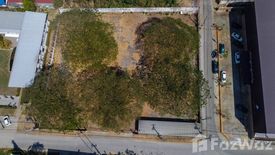 Land for sale in Tha Sala, Chiang Mai