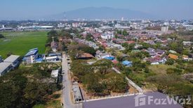 Land for sale in Tha Sala, Chiang Mai