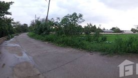 Land for sale in San Kamphaeng, Chiang Mai