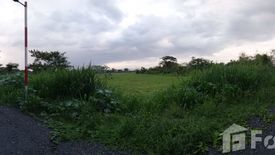 Land for sale in San Kamphaeng, Chiang Mai