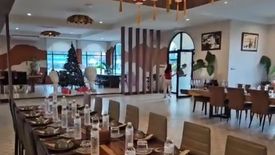 Land for sale in Si Phum, Chiang Mai