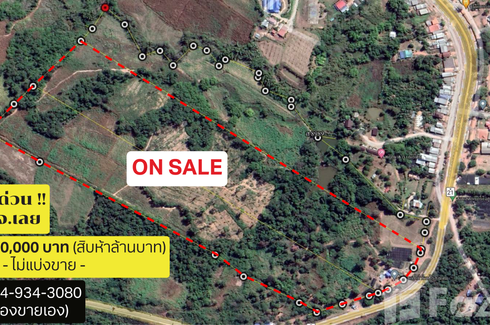 Land for sale in San Tom, Loei